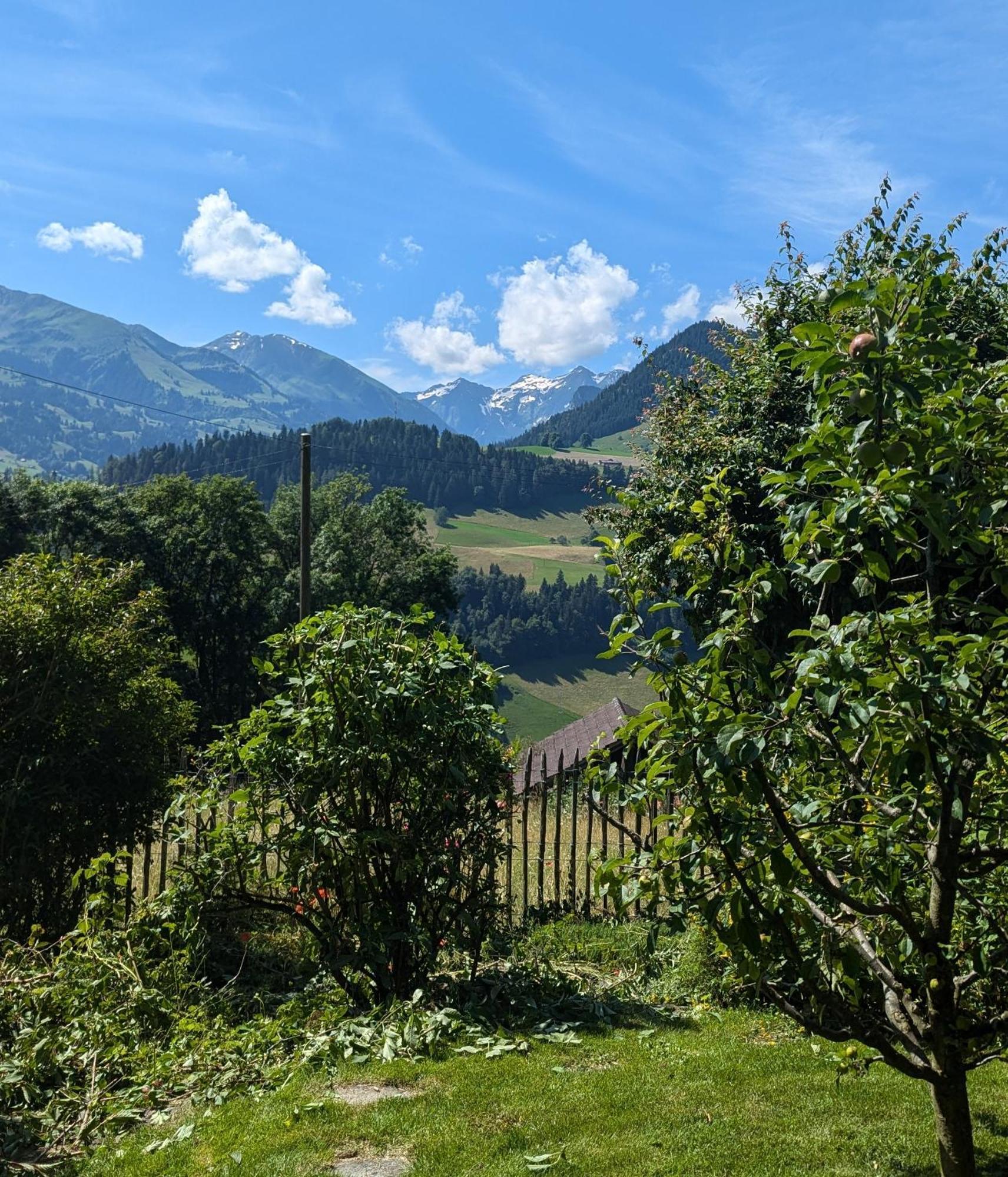 Swiss Mountain-Valley View Lodge Erlenbach im Simmental エクステリア 写真