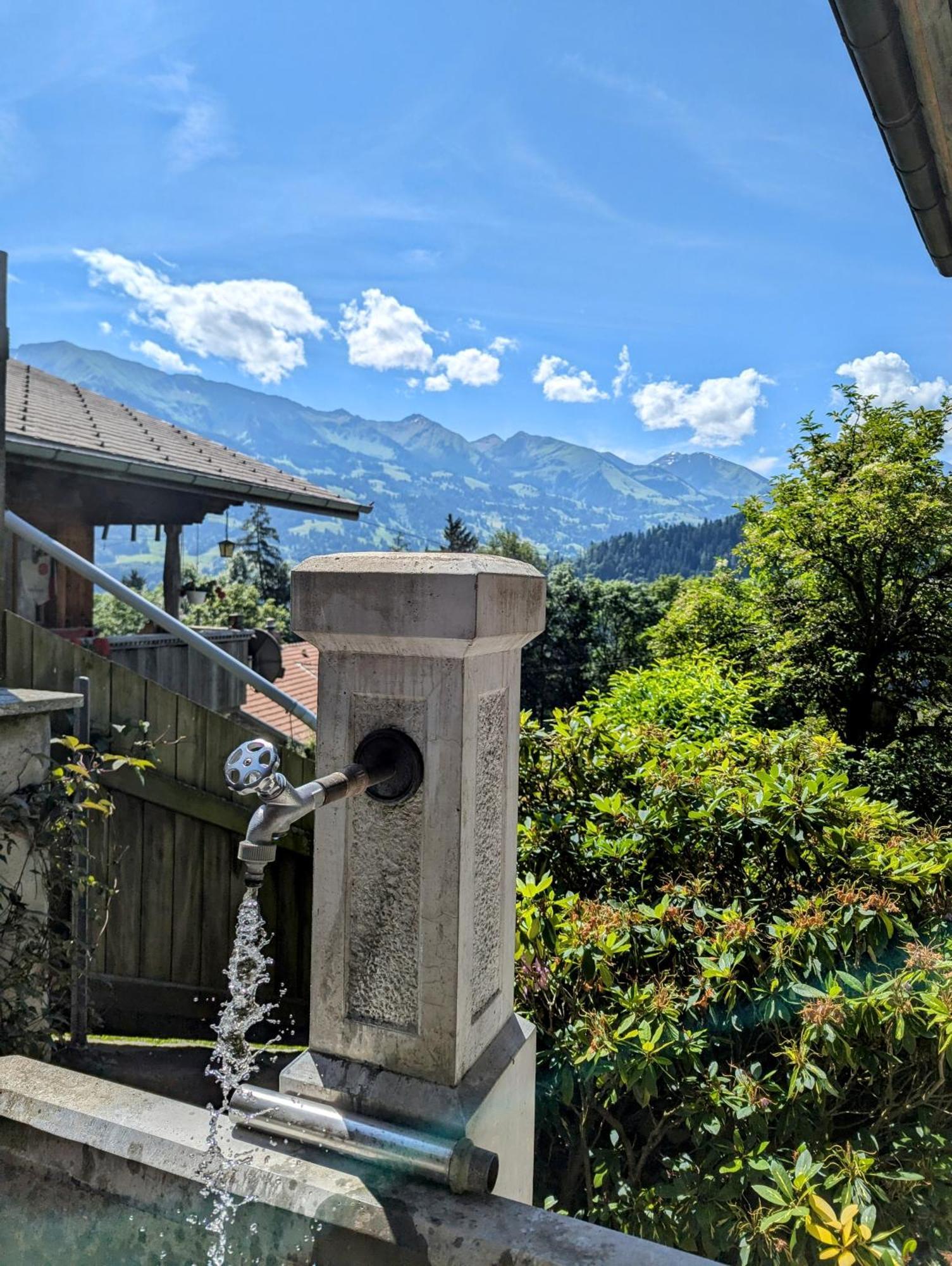 Swiss Mountain-Valley View Lodge Erlenbach im Simmental エクステリア 写真