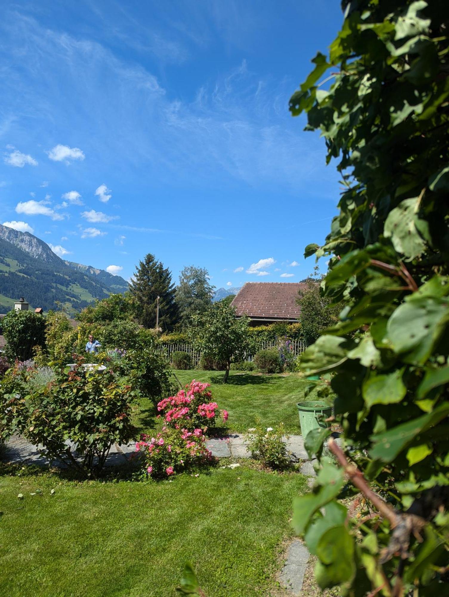 Swiss Mountain-Valley View Lodge Erlenbach im Simmental エクステリア 写真