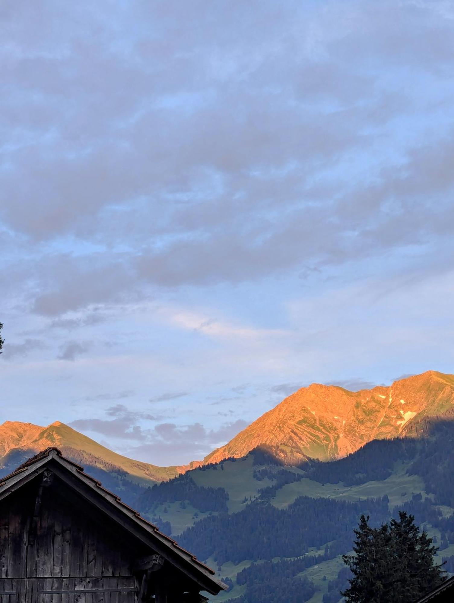 Swiss Mountain-Valley View Lodge Erlenbach im Simmental エクステリア 写真