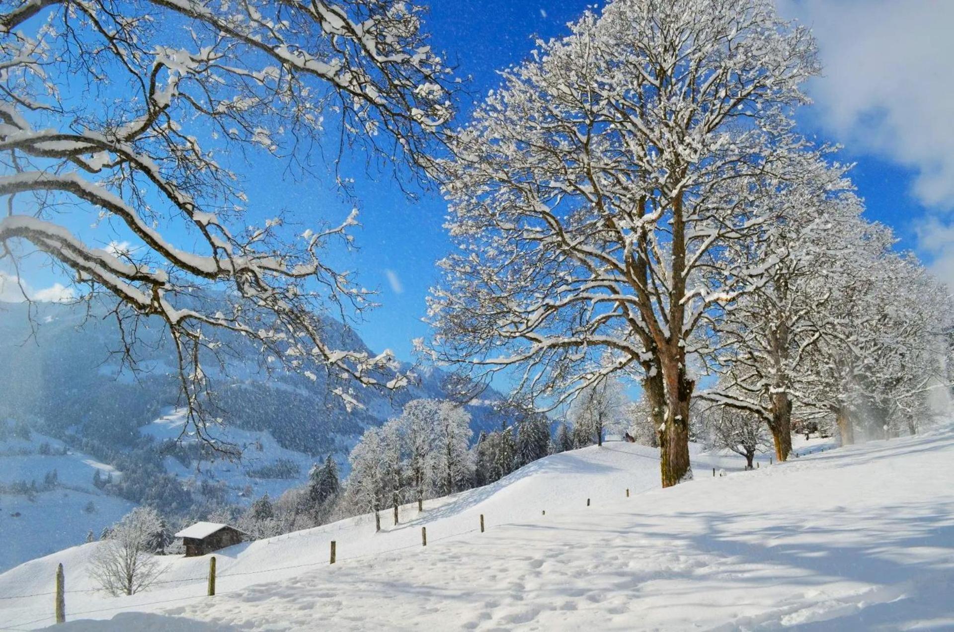 Swiss Mountain-Valley View Lodge Erlenbach im Simmental エクステリア 写真