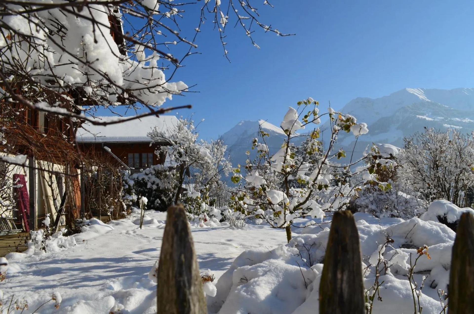 Swiss Mountain-Valley View Lodge Erlenbach im Simmental エクステリア 写真