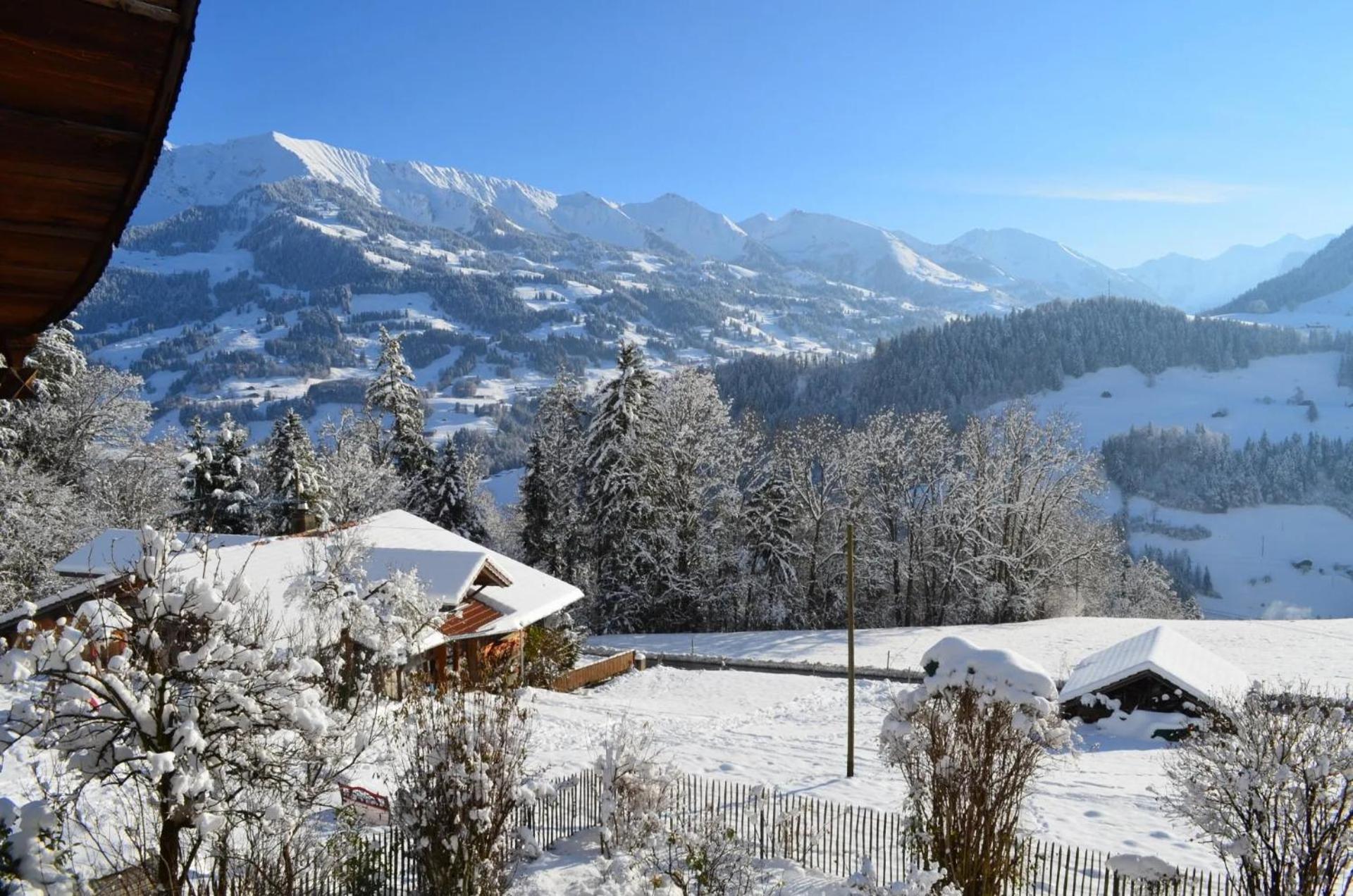 Swiss Mountain-Valley View Lodge Erlenbach im Simmental エクステリア 写真